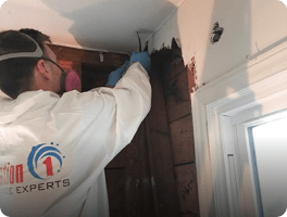 Restoration industry